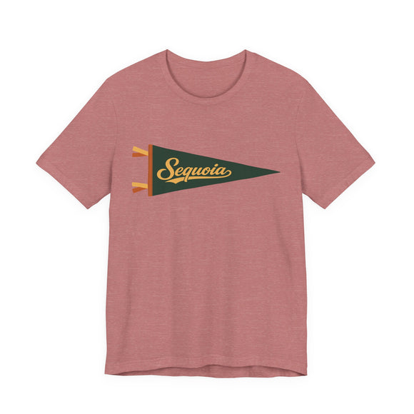 Sequoia National Park Pennant T-Shirt — Vintage Camp Flag Tee