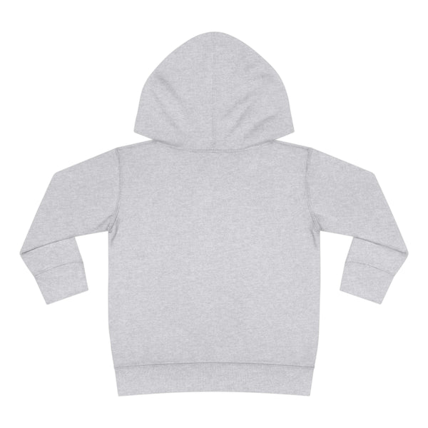 La Jolla, California Toddler Hoodie - Unisex La Jolla Toddler Sweatshirt