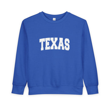 Texas Sweatshirt - Texas Crewneck Sweatshirt - 0