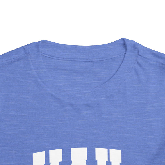 Vail, Colorado Toddler Graphic Tee - Kids Vail Vacation T-Shirt
