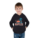 Naples, Florida Toddler Hoodie - Unisex Naples Toddler Sweatshirt-13