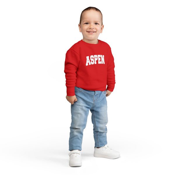 Aspen, Colorado Toddler Sweatshirt - Aspen Toddler Crewneck Sweatshirt