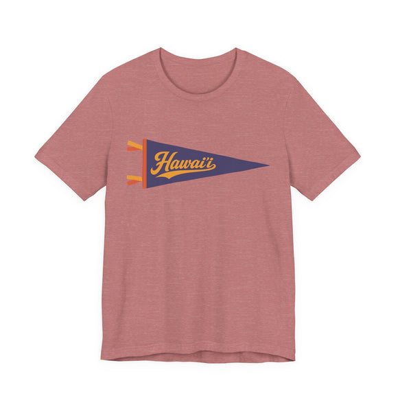 Hawai'i National Park Pennant T-Shirt — Vintage Camp Flag Tee
