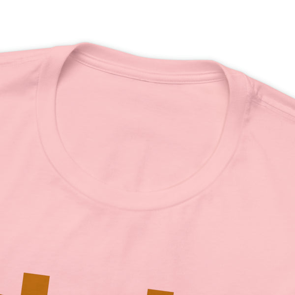 Idaho T-Shirt - Mountain Sunset Unisex Idaho Shirt