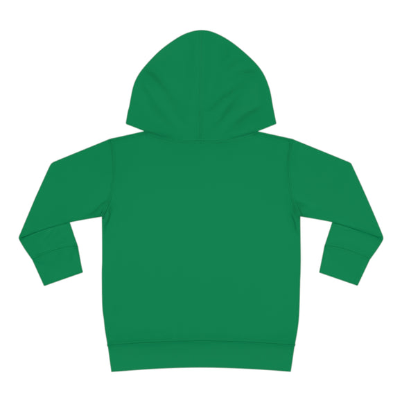 Asheville Toddler Hoodie - Retro Mountain Sun Unisex Asheville Toddler Sweatshirt