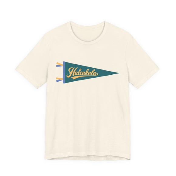 Haleakala National Park Pennant T-Shirt — Vintage Camp Flag Tee