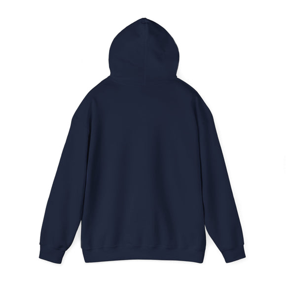 Pickleball New Hampshire Hoodie Sweatshirt - Unisex Heavy Blend Hoodie, Gift for Pickleball Players