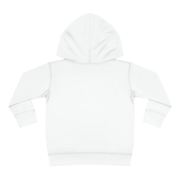 Boise Toddler Hoodie - Retro Mountain Sun Unisex Boise Toddler Sweatshirt