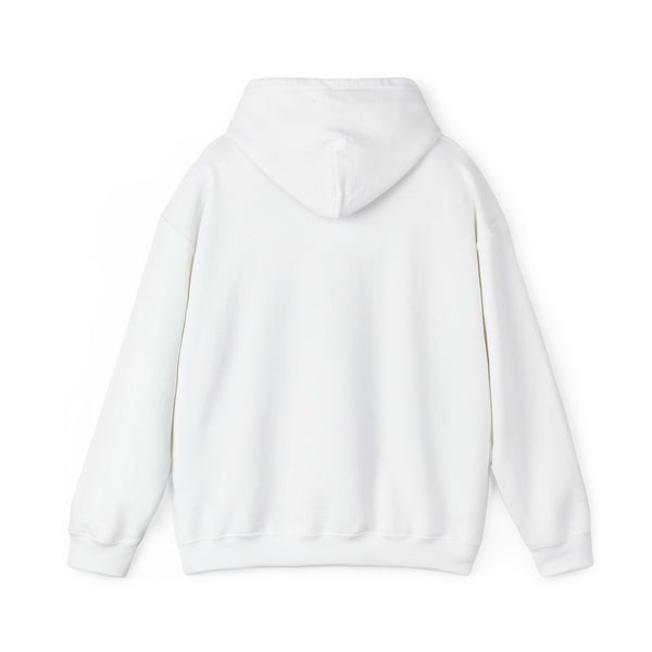 Denver, Colorado Hoodie - Unisex Mountain Denver Hoodie Graphic Sweatshirt