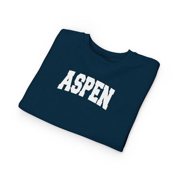 Aspen, Colorado Toddler Sweatshirt - Aspen Toddler Crewneck Sweatshirt