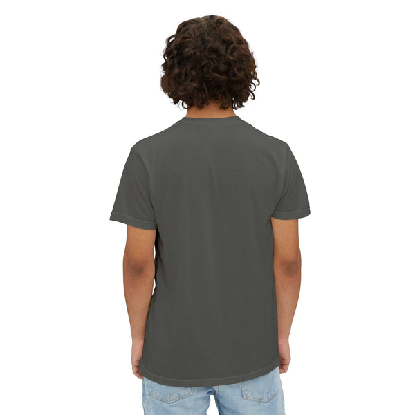 Big Sky, Montana Pocket Tee Shirt, Garment-Dyed Shirt, Mountain Graphic Tee, Comfort Colors
