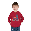Naples, Florida Toddler Hoodie - Unisex Naples Toddler Sweatshirt-19