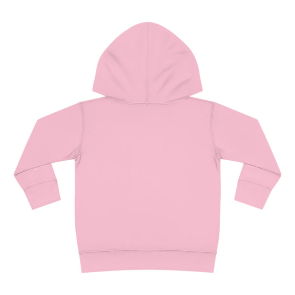 Asheville Toddler Hoodie - Retro Mountain Sun Unisex Asheville Toddler Sweatshirt
