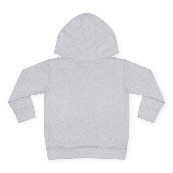 Denver Toddler Hoodie - Retro Mountain Sun Unisex Denver Toddler Sweatshirt