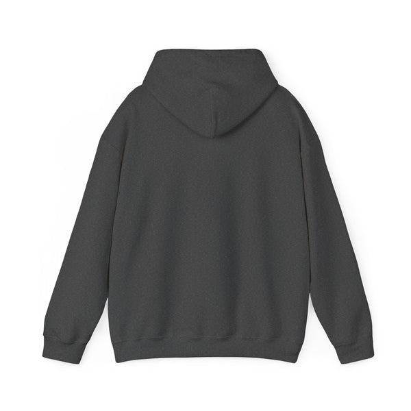 Bend, Oregon Mountain Sun Hoodie - Unisex Bend, Oregon Hooded Sweatshirt, Bend, Oregon Travel Sweatshirt, Bend, Oregon Sunset