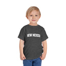 New Mexico Toddler Graphic Tee - Kids New Mexico Vacation Shirt-12