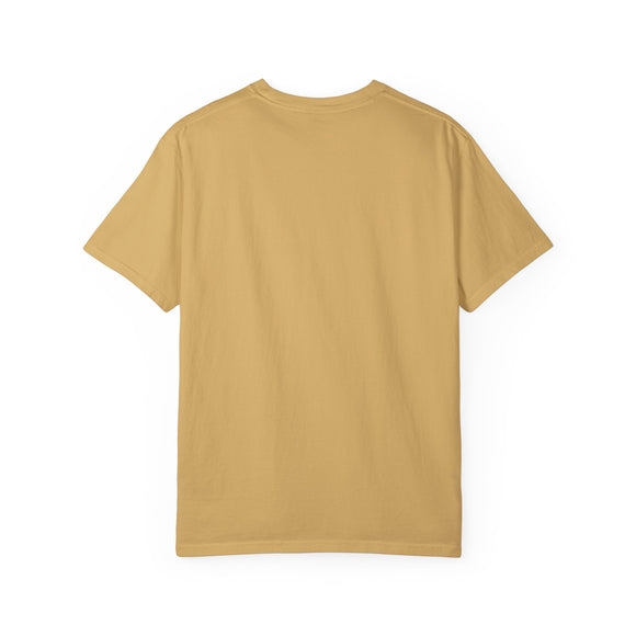 Boise, Idaho Graphic Tee, Comfort Colors Retro Unisex Boise T shirt, Mountain Adventure Shirt