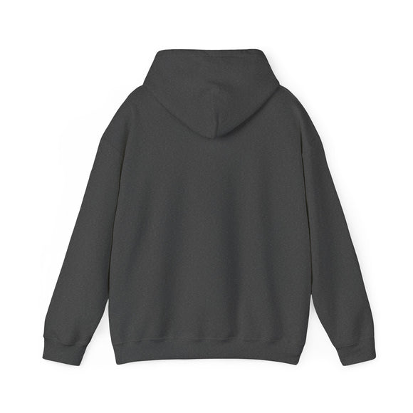 Pickleball Delaware Hoodie Sweatshirt - Unisex Heavy Blend Hoodie, Gift for Pickleball Players