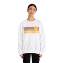 Copy of Copy of Wisconsin Sweatshirt - Retro Sunrise Unisex-6
