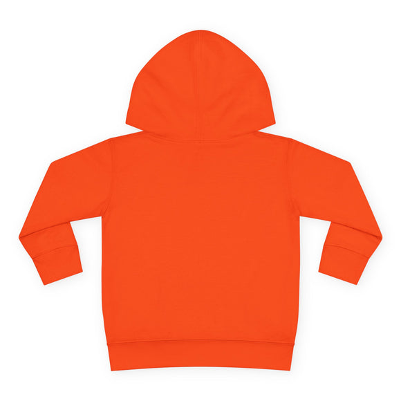 Portland, Oregon Toddler Hoodie - Unisex Portland Pullover Sweatshirt, Kids Hooded Jumper, Oregon Souvenir