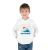 Vermont Toddler Hoodie - Minimal Style Unisex Vermont Toddler Sweatshirt