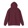 Denver, Colorado Hoodie - Unisex Mountain Denver Hoodie Graphic Sweatshirt