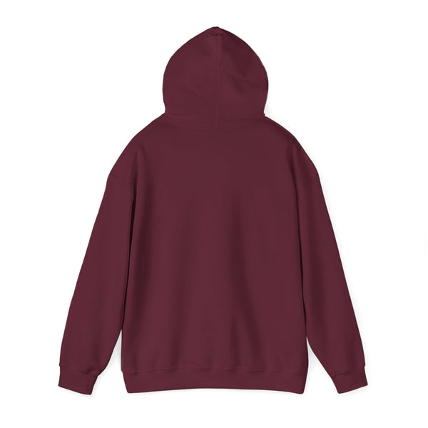 Denver, Colorado Hoodie - Unisex Mountain Denver Hoodie Graphic Sweatshirt