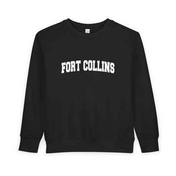 Buy black Fort Collins, Colorado Toddler Sweatshirt - Fort Collins Toddler Crewneck Sweatshirt