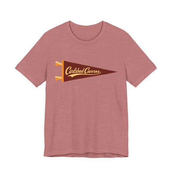 Carlsbad Caverns National Park Pennant T-Shirt — Vintage Camp Flag Tee