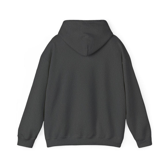 Montana Hoodie - Sun Unisex Montana Hoodie Graphic Sweatshirt