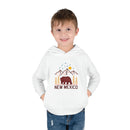 New Mexico Toddler Hoodie - Unisex New Mexico Toddler Sweatshirt-23