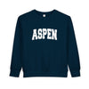 Aspen, Colorado Toddler Sweatshirt - Aspen Toddler Crewneck Sweatshirt