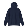Denver, Colorado Hoodie - Unisex Mountain Denver Hoodie Graphic Sweatshirt
