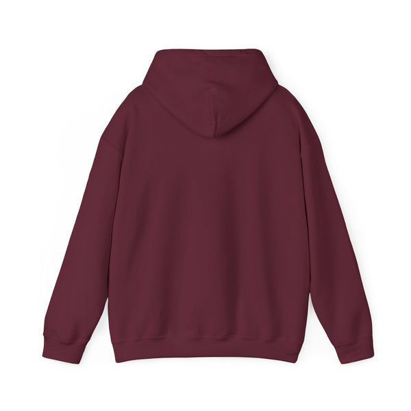 Denver, Colorado Hoodie - Unisex Mountain Denver Hoodie Graphic Sweatshirt