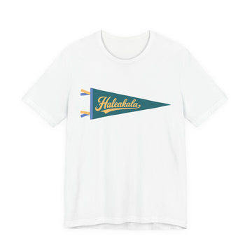 Haleakala National Park Pennant T-Shirt — Vintage Camp Flag Tee - 0