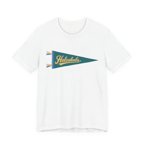 Haleakala National Park Pennant T-Shirt — Vintage Camp Flag Tee