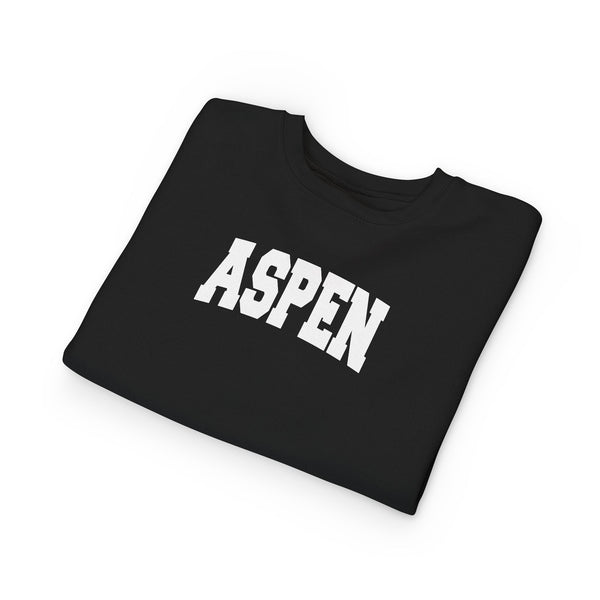 Aspen, Colorado Toddler Sweatshirt - Aspen Toddler Crewneck Sweatshirt