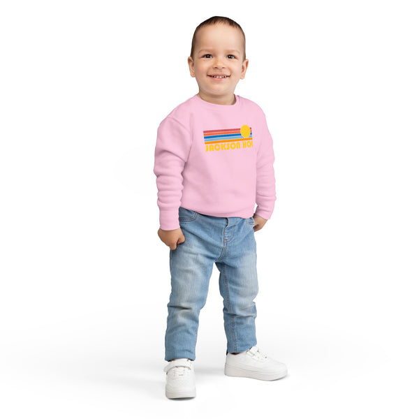 Jackson Hole, Wyoming Toddler Sweatshirt - Retro Sun Jackson Hole Toddler Crewneck Sweatshirt
