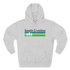 Premium South Carolina Hoodie - Retro Unisex Sweatshirt