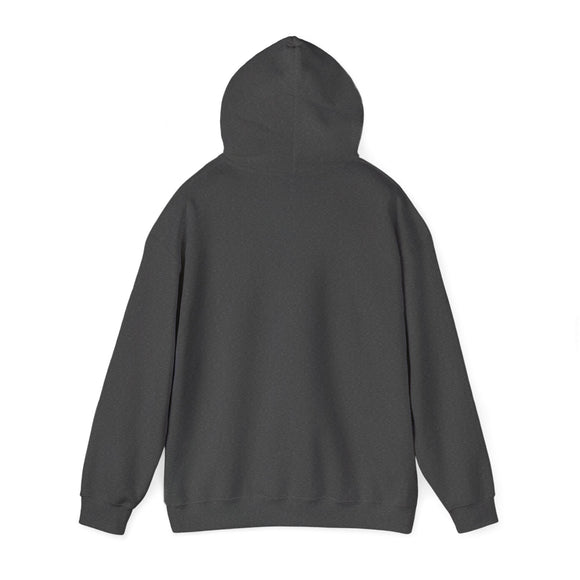 Montana Hoodie - Sun Unisex Montana Hoodie Graphic Sweatshirt