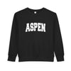 Aspen, Colorado Toddler Sweatshirt - Aspen Toddler Crewneck Sweatshirt