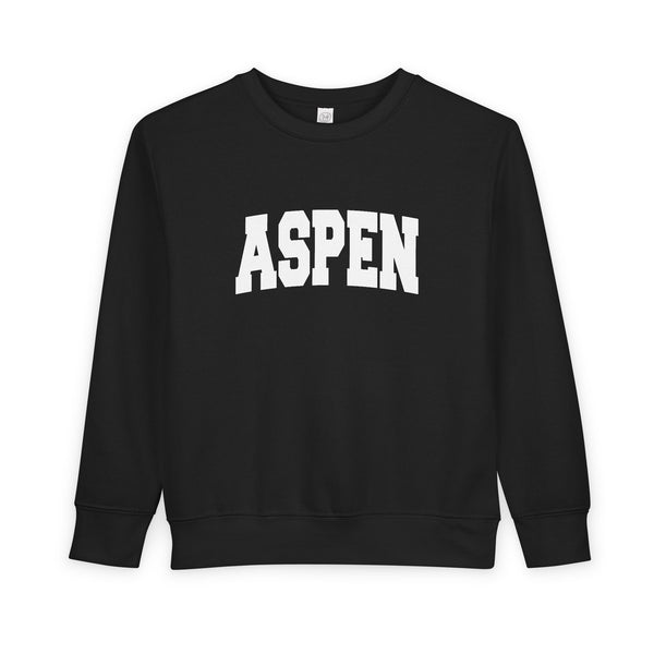 Aspen, Colorado Toddler Sweatshirt - Aspen Toddler Crewneck Sweatshirt