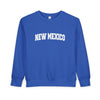 New Mexico Sweatshirt - New Mexico Crewneck Sweatshirt