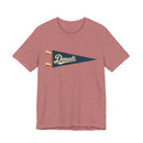 Denali National Park Pennant T-Shirt — Vintage Camp Flag Tee-3