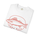 Lake Erie Graphic Tee, Comfort Colors Retro Unisex T shirt-6