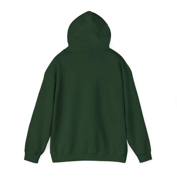Pickleball Oklahoma Hoodie Sweatshirt - Unisex Heavy Blend Hoodie, Gift for Pickleball Players