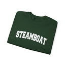 Steamboat, Colorado Sweatshirt - Unisex Graphic Crewneck-14
