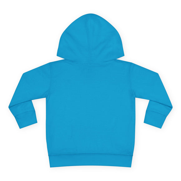 Stowe, Vermont Toddler Hoodie - Unisex Mountain Stowe Pullover Sweatshirt, Kids Hooded Jumper, Vermont Souvenir