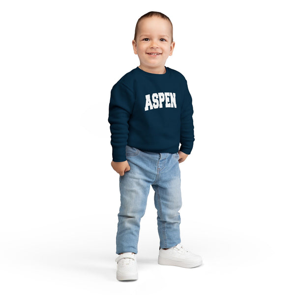 Aspen, Colorado Toddler Sweatshirt - Aspen Toddler Crewneck Sweatshirt