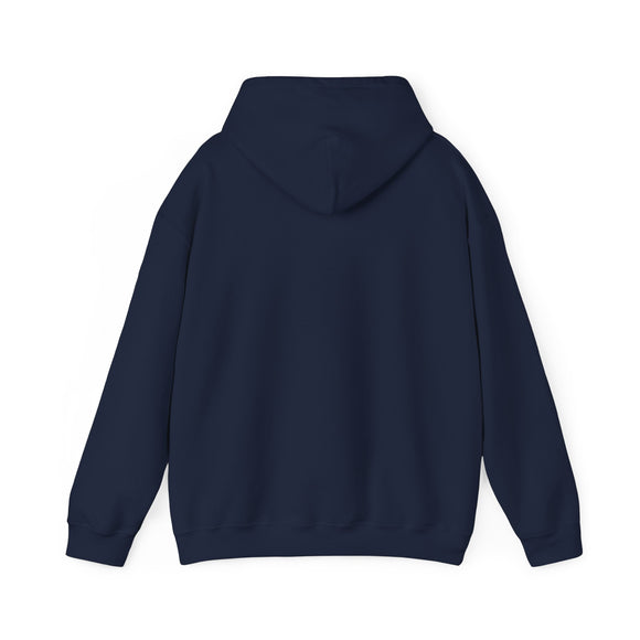 Pickleball New Hampshire Hoodie Sweatshirt - Unisex Heavy Blend Hoodie, Gift for Pickleball Players